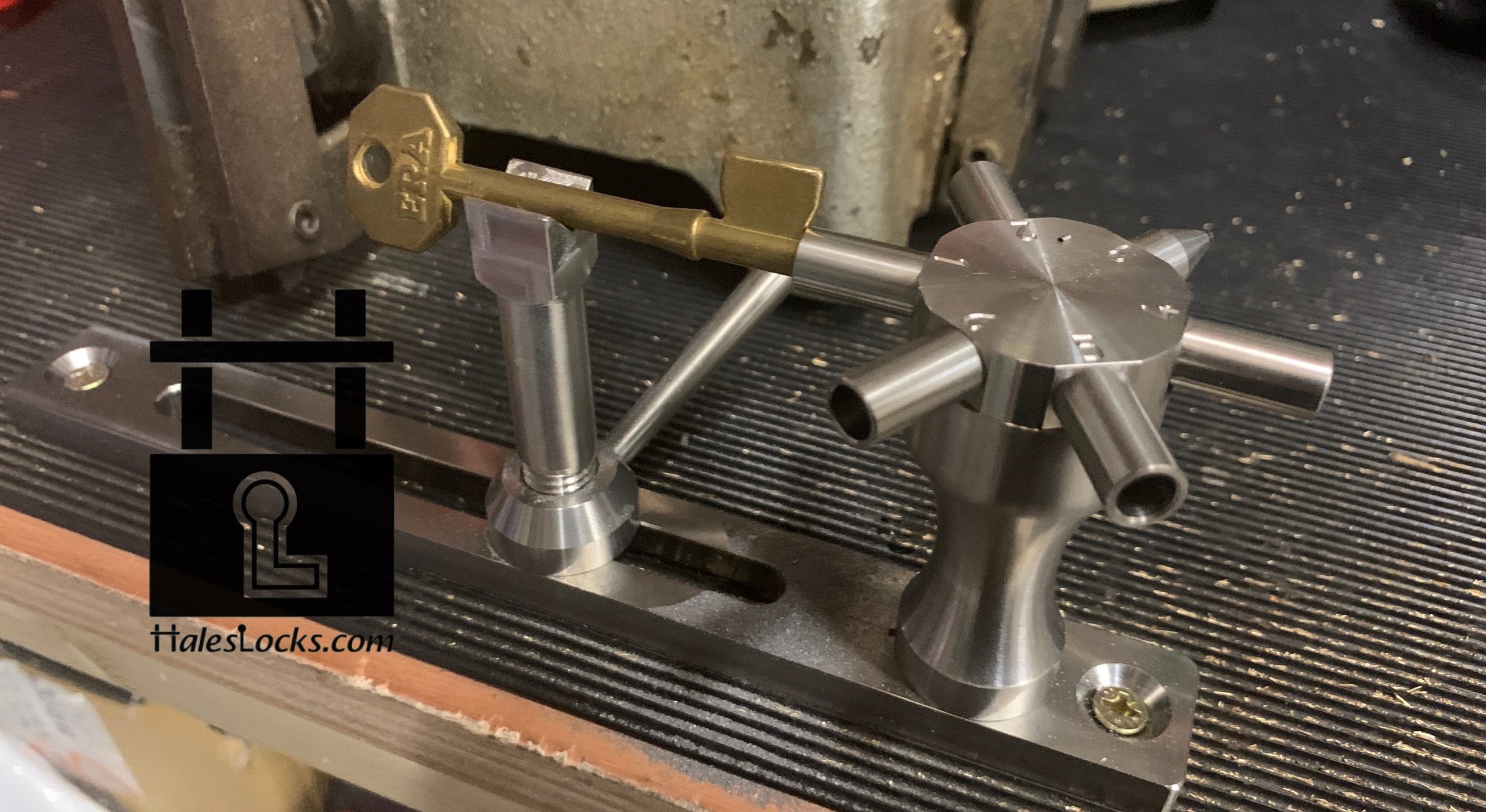 haleslocks 4 scaled 10